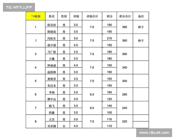 网球赛事参赛选手完整名单及各项比赛排名分析
