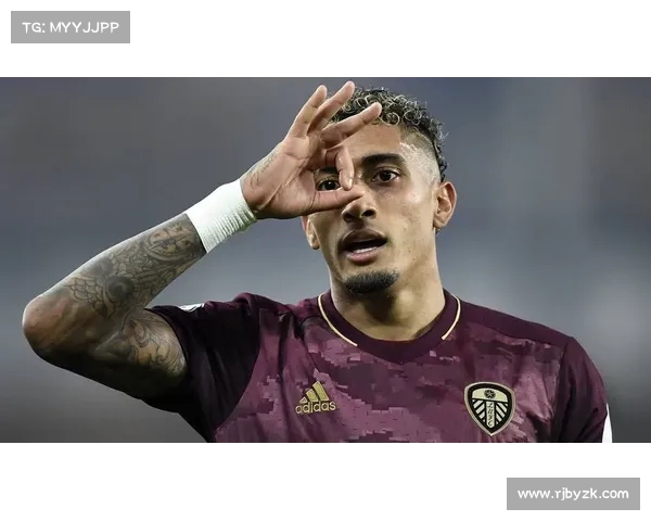 博尔瑙正式告别沃尔夫斯堡 将加盟利兹联开启新篇章